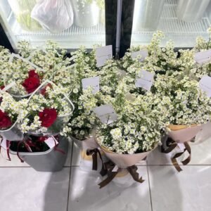 Bulk order for graduation