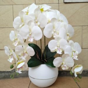 LOUISHOMEDECOR, anggrek latex putih 2 tangkai