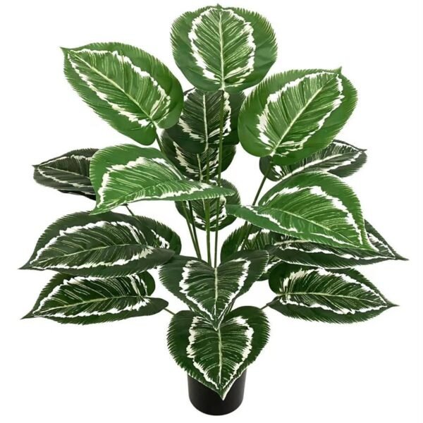 LEAVES SMALL PLANT