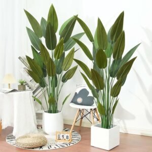 BIRD OF PARADISE