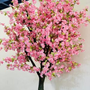 Big size Cherry blossom