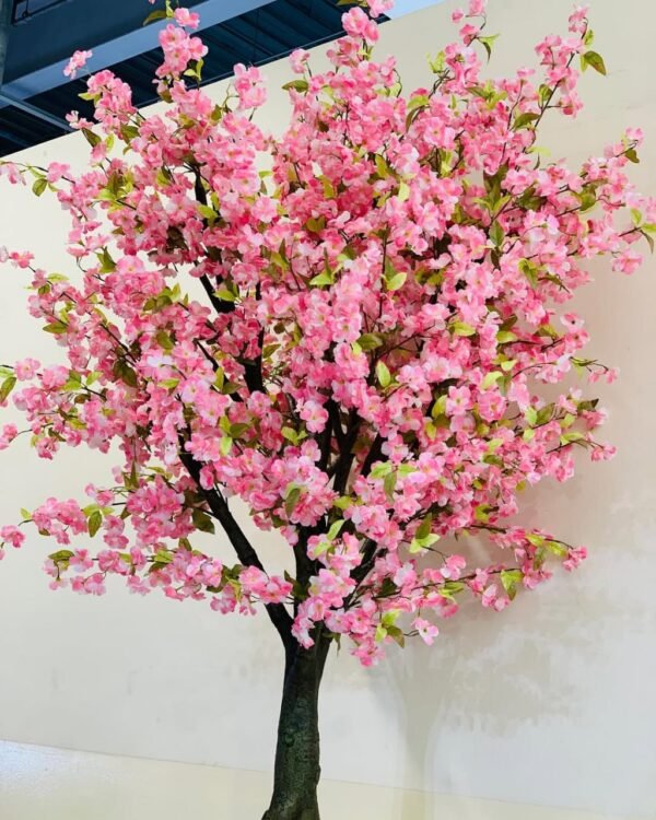 Big size Cherry blossom