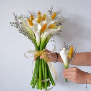 Calla Fresh & Fillers Varian Hijau
